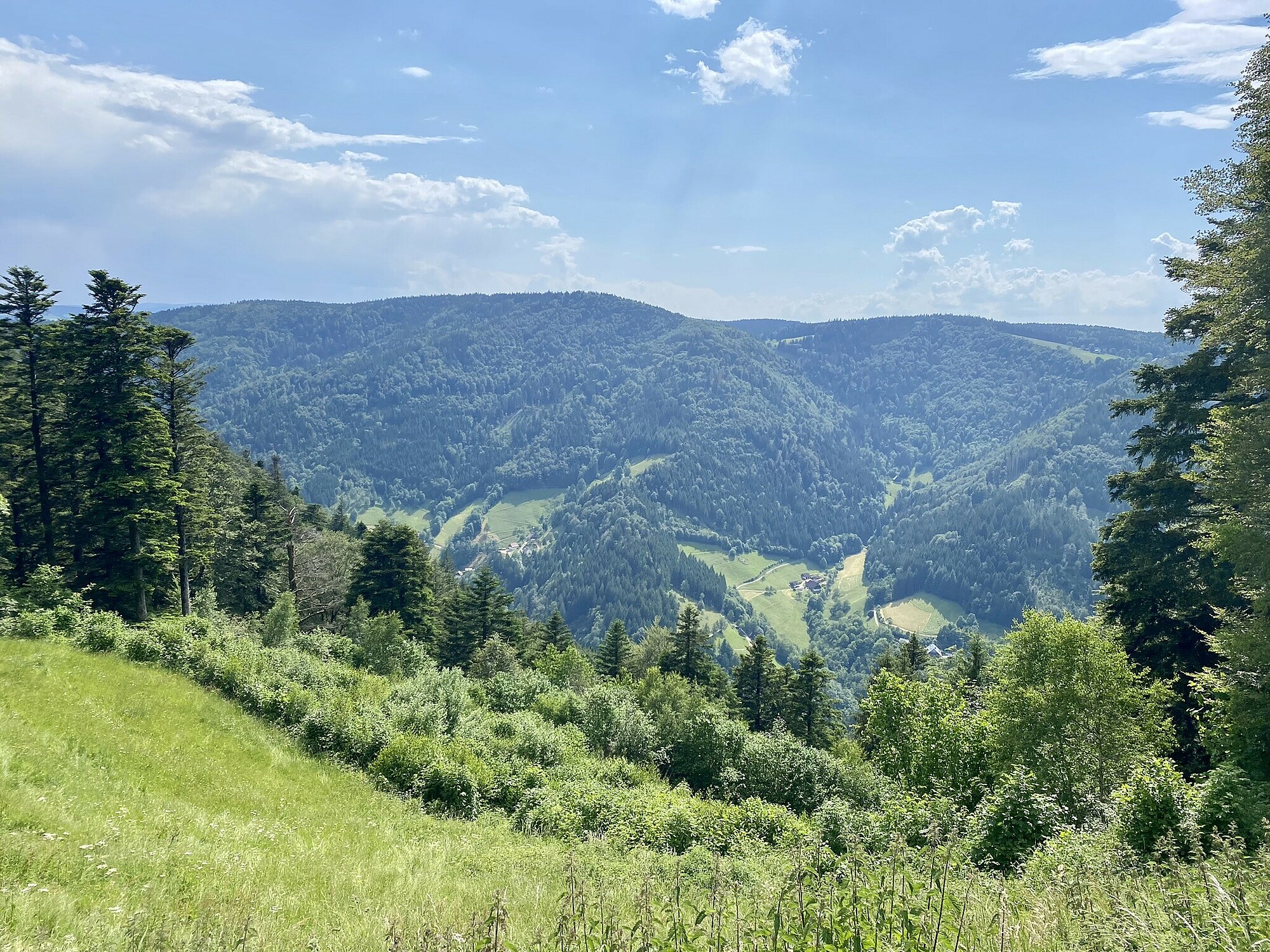 Schwarzwald clearance hiking trails
