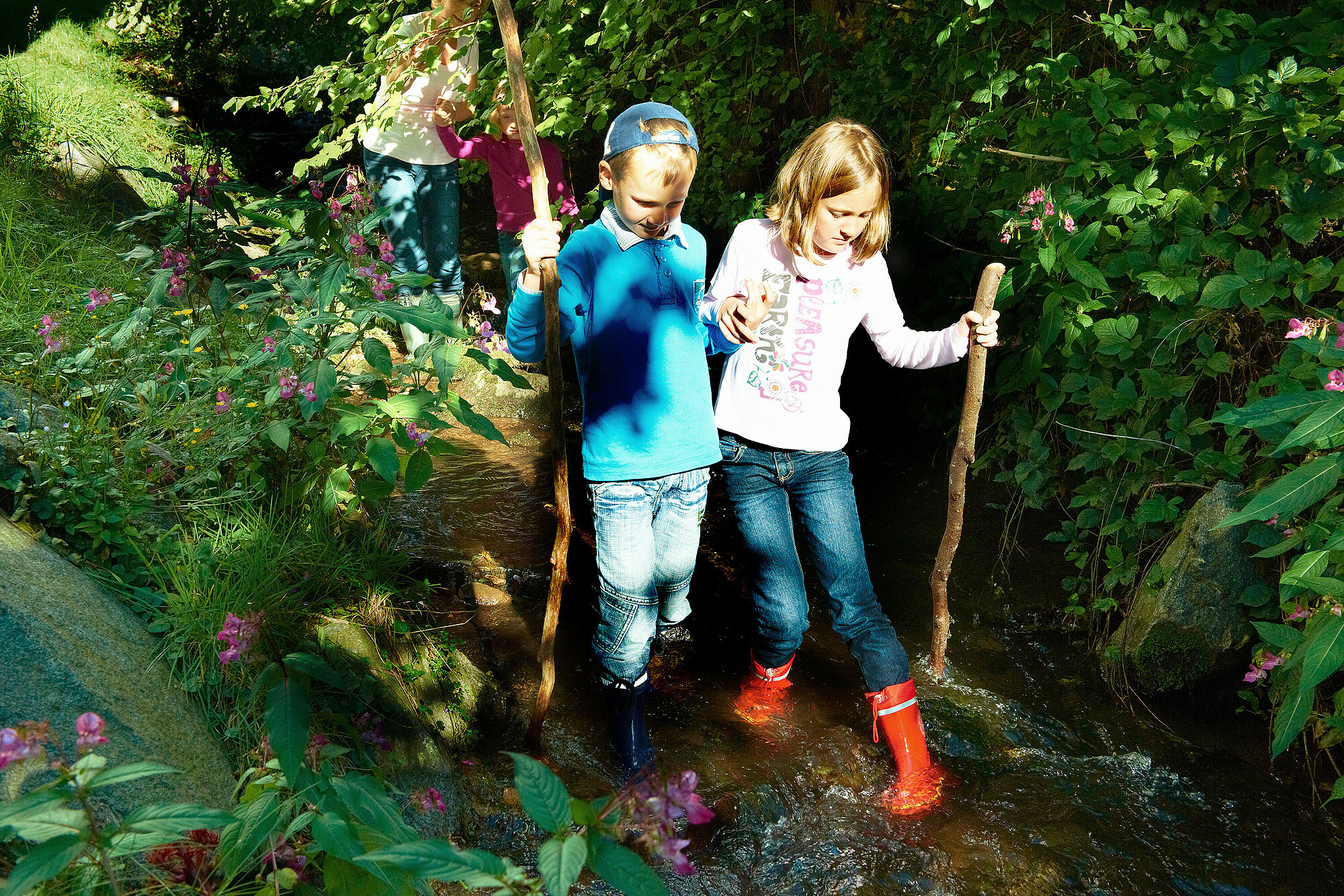 L'appel de la forêt - 1 an d'activités avec les enfants pour se